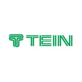 Sticker Logo Tein Vert - 48 cm 