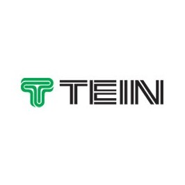 Sticker Logo Tein Vert & Noir - 20 cm 
