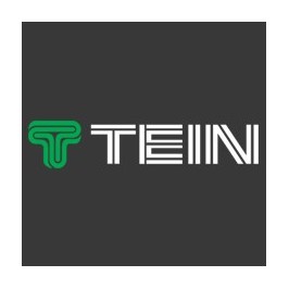 Sticker Logo Tein Vert & Blanc - 20 cm 